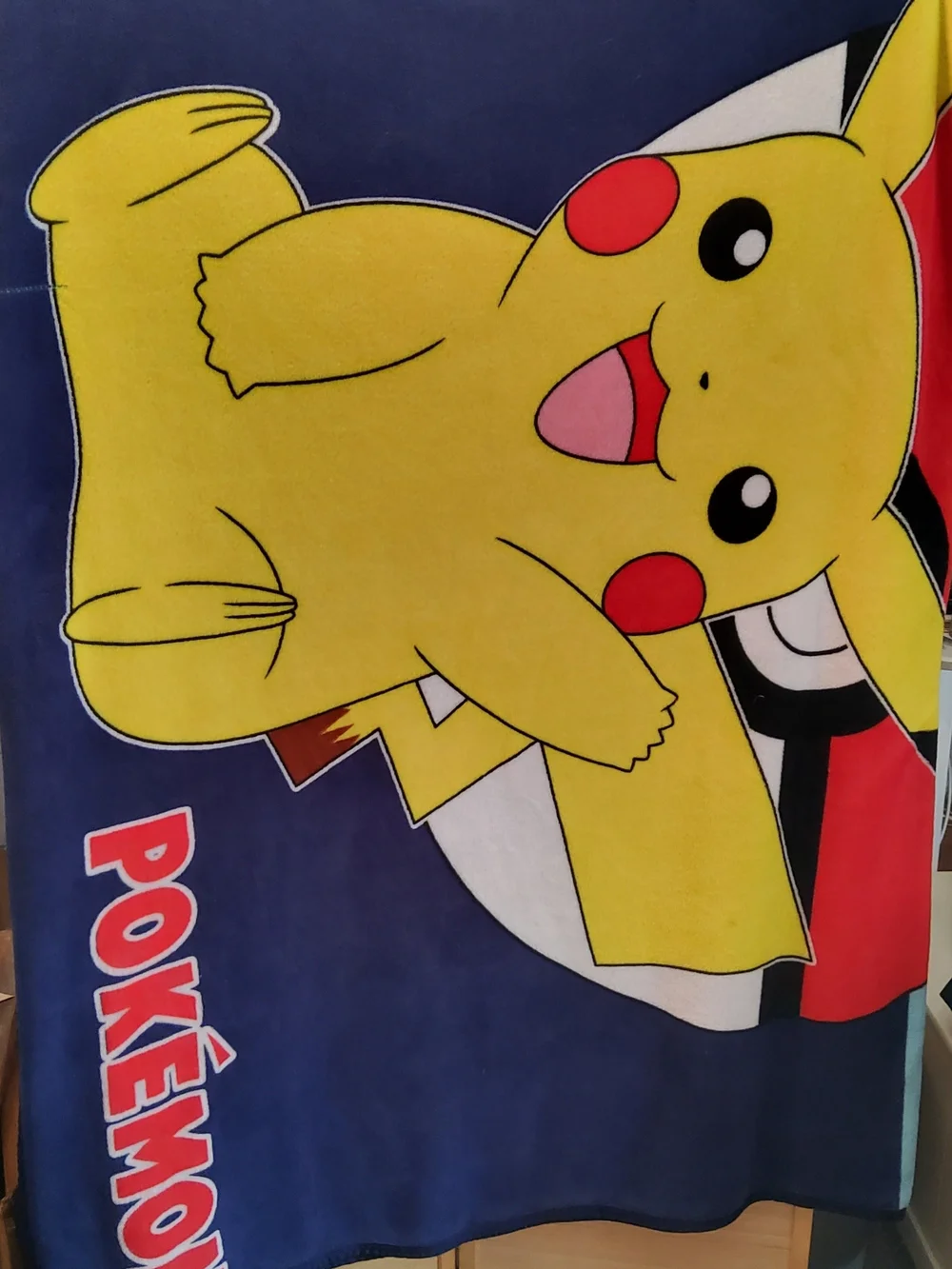 Pokemon Yellow, Red, Blue Blanket with Pikachu & Eevee and Pillowcase